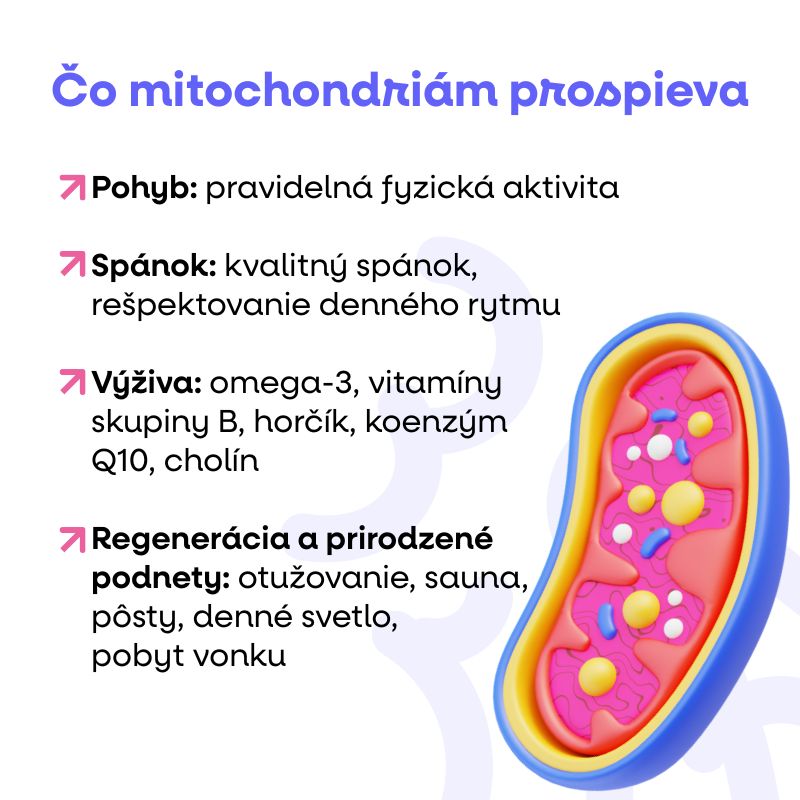 (Slovenčina) (25)